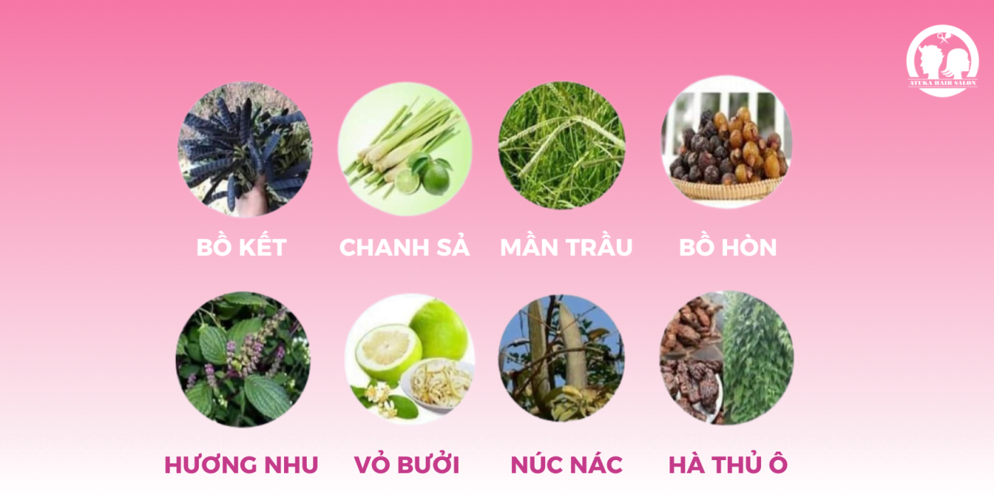 thảo dược gội dưỡng sinh