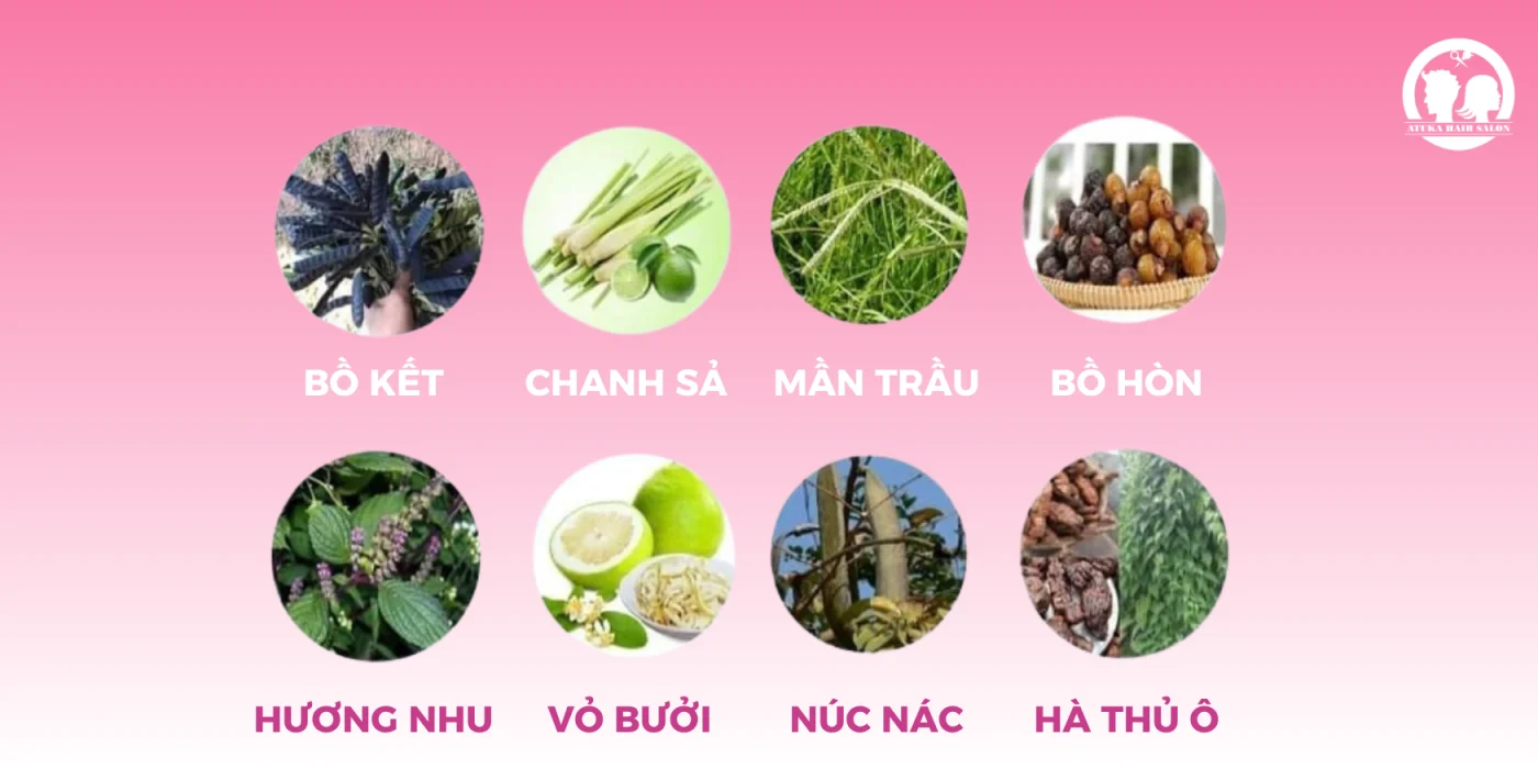 thảo dược gội dưỡng sinh